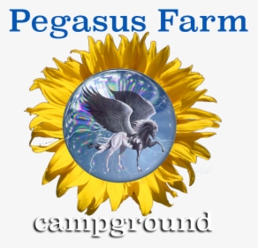 Pegasus Farm Campground, HD Png Download, Free Download