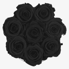 Transparent Black Flowers Png - Garden Roses, Png Download, Free Download