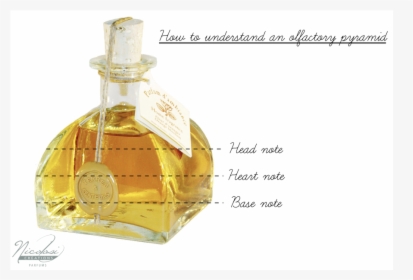 Nicolosi En - Perfume Bottle Structure, HD Png Download, Free Download