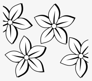 Outlines Of Flowers For Colouring Daisy Flower Daisy - Jasmine Flower Black And White, HD Png Download, Free Download