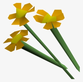 Runescape Flowers, HD Png Download, Free Download