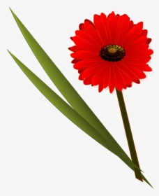 Orange Flower Clipart Summer Flower - Clip Art Desert Flowers, HD Png Download, Free Download