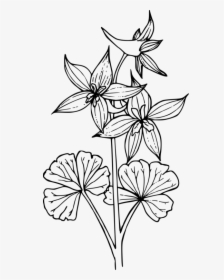 Line Art,style,flower - Larkspur Clipart, HD Png Download, Free Download