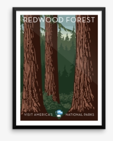 Redwood Forest Print - Poster, HD Png Download, Free Download