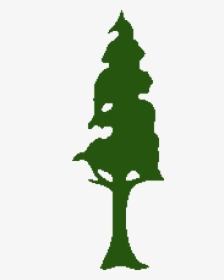 Redwood Tree Clip Art - Redwood Tree Clip Art Png, Transparent Png, Free Download