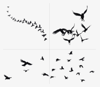 Crows Png, Transparent Png, Free Download