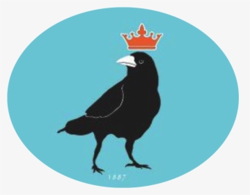 Transparent Crow Silhouette Png - American Crow, Png Download, Free Download