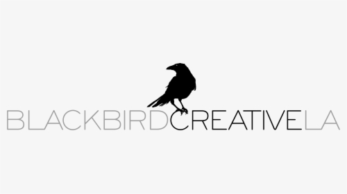 Raven, HD Png Download, Free Download