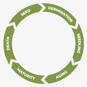 Release Management Lifecycle For Software, HD Png Download, Free Download
