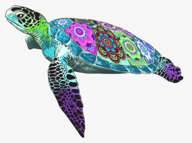 Tina The Turtle - Hawksbill Sea Turtle, HD Png Download, Free Download