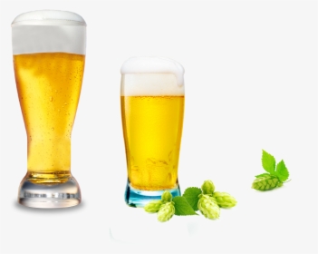 Beer Cup Png Banner Transparent Download - Cup Of Beer Png, Png Download, Free Download