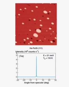 Polka Dot, HD Png Download, Free Download