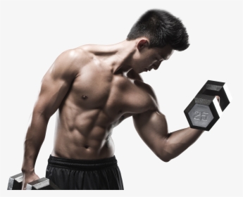 Transparent Cesaro Png - Bodybuilding, Png Download, Free Download