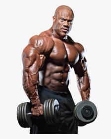 Bodybuilding Png Images - Bodybuilders Png, Transparent Png, Free Download