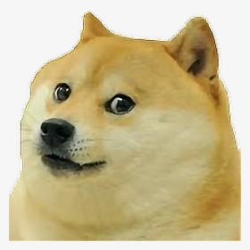 Dog Face Transparent - Dog Meme Face Png, Png Download, Free Download