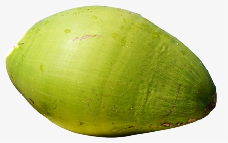 Green Coconut Transparent Background, HD Png Download, Free Download