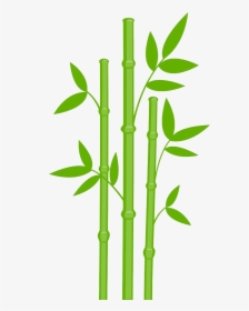 Bamboo Drawing Leaves - Bamboo Clipart, HD Png Download, Free Download