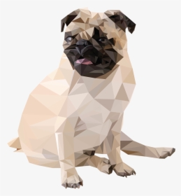 Triangle Png Tumblr - Pug, Transparent Png, Free Download