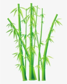 Bamboo - Bamboo Tree Transparent Background, HD Png Download, Free Download