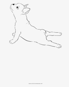 French Bulldog Coloring Page - Line Art, HD Png Download, Free Download