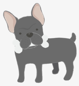 French Bulldog, HD Png Download, Free Download