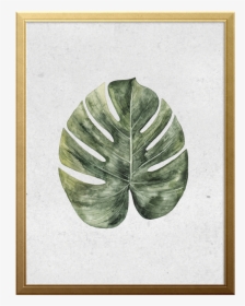 Palm Branch Art Print - Monstera Deliciosa, HD Png Download, Free Download