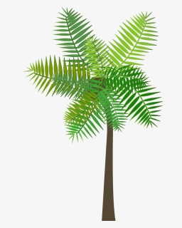 Graphic, Palm Tree, Palm, Tree, Sea, Beach, Summer - Roystonea, HD Png Download, Free Download