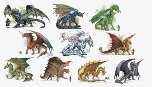 Vs Debating Wiki - Dnd Dragons, HD Png Download, Free Download