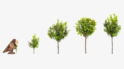 For Every Animal Sold 5 Trees Are Planted - Plane, HD Png Download, Free Download