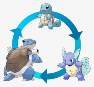 A Squirtle Becomes A Wartortle, A Wartortle Becomes, HD Png Download, Free Download