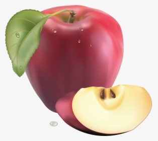 68 Png Apple Image Clipart Transparent Png Apple - Realistic Fruit, Png Download, Free Download