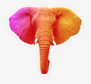 Elephant Head Realistic Drawing, HD Png Download, Free Download