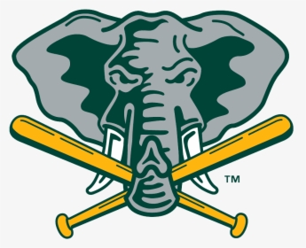 Oakland Athletics Logo Elephant Head - Oakland A's Elephant Logo, HD Png Download, Free Download