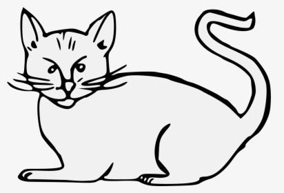 Transparent Cat Whiskers Png - Domestic Short-haired Cat, Png Download, Free Download