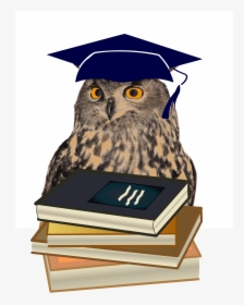 Graduation Clipart Owl, HD Png Download, Free Download