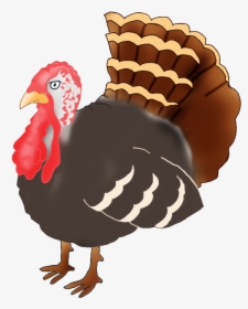 Turkey Drawing Pictures Free - Fat Turkey Drawing, HD Png Download, Free Download