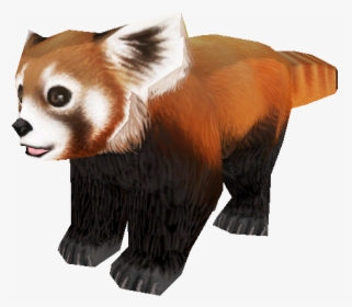 Red Panda Bear Giant Panda Fur Snout - Red Panda Zoo Tycoon, HD Png Download, Free Download