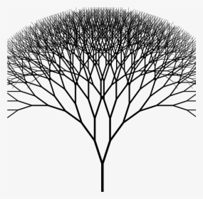 Transparent Fungi Clipart - Fractal Tree Png, Png Download, Free Download
