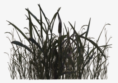 Swamp Grass 01 By Wolverine04 - Black And White Grass Png, Transparent Png, Free Download