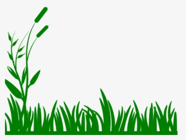 Transparent Swamp Png - Black And White Grass, Png Download, Free Download