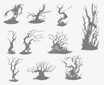 Drawing Tree Woody Plant - Illustration, HD Png Download, Free Download