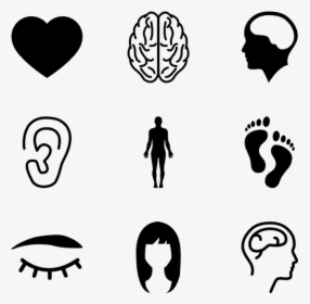 Body Parts - Body Parts Png, Transparent Png, Free Download