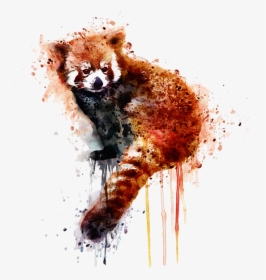 Watercolor Red Panda Art, HD Png Download, Free Download