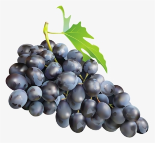 Imagem De Frutas - Black Grapes Png, Transparent Png, Free Download