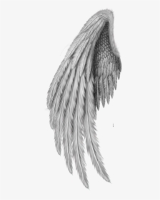 Drawing Clip Art - Realistic Angel Wings Drawing, HD Png Download, Free Download