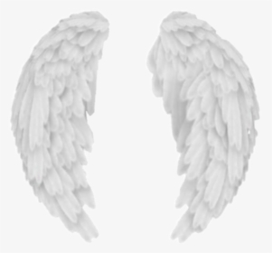 #wings #angel #losangeles #white #feather #cute #aesthetic - Aesthetic Angel Wings White, HD Png Download, Free Download