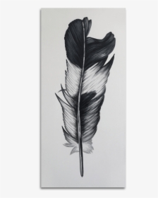 Black And White Feather - Illustration, HD Png Download, Free Download