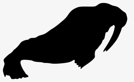 Walrus - Walrus Png, Transparent Png, Free Download