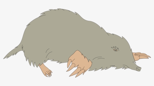 Walrus - Mole Clipart, HD Png Download, Free Download