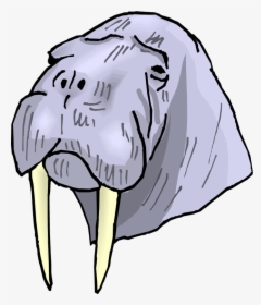 Walrus Cliparts - Walrus, HD Png Download, Free Download